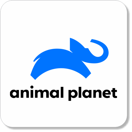 TV Digital Streaming Prata - Image 47